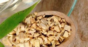 Allergie und das moderne Heim – Zivilisation und Krankheit