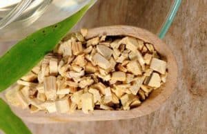 Allergie und das moderne Heim – Zivilisation und Krankheit