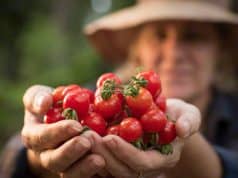 Allergiegeschichte und Allergiestaat – wichtige Information