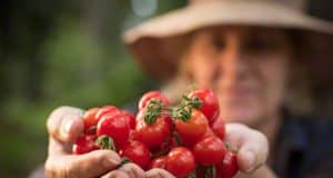 Allergiegeschichte und Allergiestaat – wichtige Information