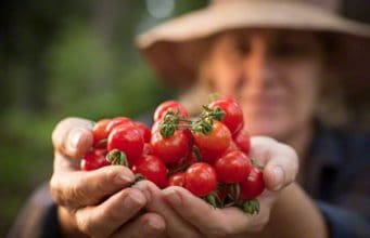 Allergiegeschichte und Allergiestaat – wichtige Information
