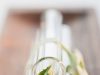 Asthma Behandlung und Vorbeugung – Peak Flow Measurement Atemtherapien Sport