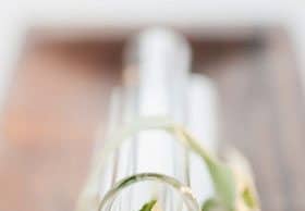 Asthma Behandlung und Vorbeugung – Peak Flow Measurement Atemtherapien Sport