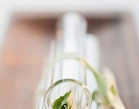 Asthma Behandlung und Vorbeugung – Peak Flow Measurement Atemtherapien Sport