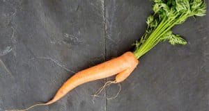 Clemens von Pirquet und die Geburt der Allergien – Seltsame Reaktionen