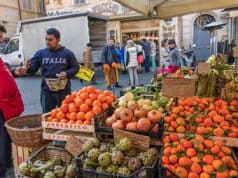 Der Kampf der amerikanischen Allergologen um berufliche Anerkennung