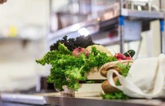 Der Tod der Allergie und wichtige Information