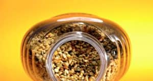 Die politische Ökonomie der Allergien – wichtige Information