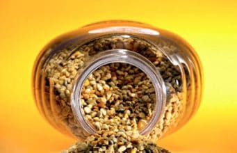 Die politische Ökonomie der Allergien – wichtige Information