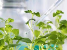 Nahrungsmittelallergien – Wege zur Sensibilisierung und Symptome