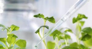 Nahrungsmittelallergien – Wege zur Sensibilisierung und Symptome