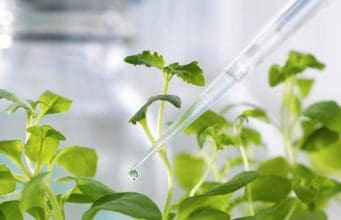 Nahrungsmittelallergien – Wege zur Sensibilisierung und Symptome