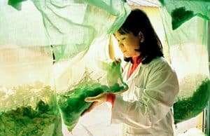 Neurodermitis Diagnose und Behandlung Hautpflege Medikamente und Maßnahmen