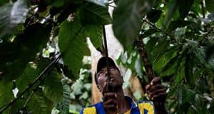 Zukunft der Gesundheit und Allergien in unserer Wirtschaft