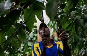 Zukunft der Gesundheit und Allergien in unserer Wirtschaft