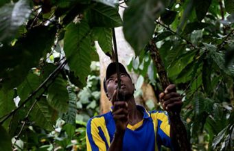 Zukunft der Gesundheit und Allergien in unserer Wirtschaft