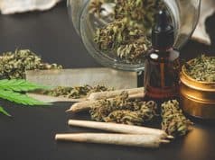 Blüte Drehung und Wachstum Photoperiode Züchtung Erntesystem – Cannabis zu Hause Anbauen