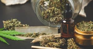 Cannabis-Boom in Deutschland: Chancen und Herausforderungen der Legalisierung von Freizeit-Cannabis