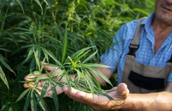 Vorbereitung Lösungsmittel Reinheit DEA-Anmerkungen Isomerisieren – THC Extraktion und Haschisch-Öl