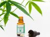CBD-Öl: Ein nachhaltiges Wundermittel oder überbewerteter Trend?