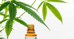 CBD-Öl – Welche Wirkungen hat das neue Wundermittel