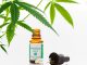 CBD-Öl: Ein nachhaltiges Wundermittel oder überbewerteter Trend?