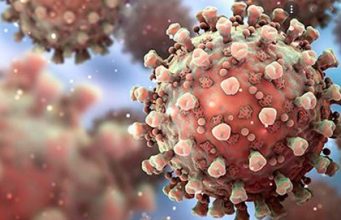 Innovative Therapien gegen Gehirntumoren: Viren und Licht als Hoffnungsträger in der Krebsforschung