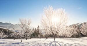 Gesundes Leben Art und Weise – Die kältere Tage im Jahr