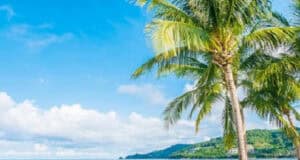 Gesundes Leben Art und Weise – Die wärmeren Tage im Jahr