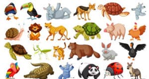 Gesundes Leben – Natur Gesundheit von den Tieren