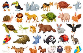 Gesundes Leben – Natur Gesundheit von den Tieren