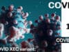Neue Coronavirus-Variante XEC breitet sich in Europa aus, könnte aber nicht ignoriert sein