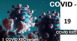Neue Coronavirus-Variante XEC breitet sich in Europa aus, könnte aber nicht ignoriert sein