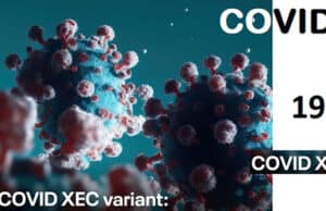 Neue Coronavirus-Variante XEC breitet sich in Europa aus, könnte aber nicht ignoriert sein