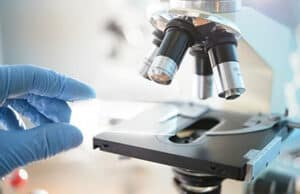 Neues KI-Modell CHIEF – ein Durchbruch in der Krebsdiagnose und Krebsbewertung