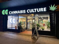 Cannabis-Neuklassifizierung in den USA: Chancen für europäische Firmen