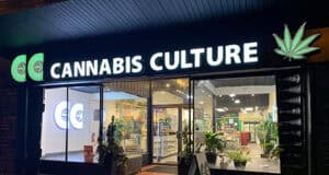 Cannabis-Neuklassifizierung in den USA: Chancen für europäische Firmen