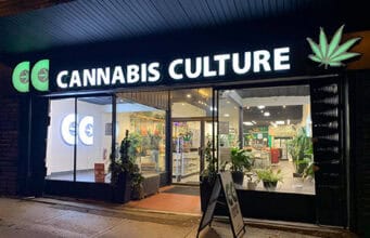 Cannabis-Neuklassifizierung in den USA: Chancen für europäische Firmen