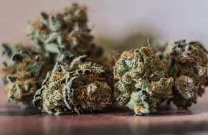 HHC: Die neue Herausforderung nach dem CBD-Boom – Chancen, Risiken und die Grauzonen