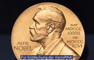 Nobelpreis für Medizin 2024 – Auszeichnung für die Entdeckung der Mikro-RNA und die Genregulation