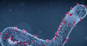 Ruanda – erfolgreiche Eindämmung des Marburg-Virus – keine neuen Infektionen und Todesfälle