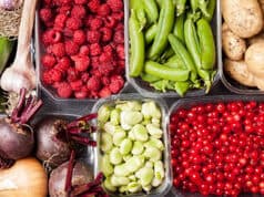 Der eigene Gemüsegarten anfangen – Vorteile Tipps und ein Leitfaden für Einsteige