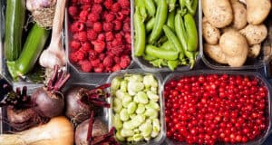 Der eigene Gemüsegarten anfangen – Vorteile Tipps und ein Leitfaden für Einsteige