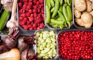 Der eigene Gemüsegarten anfangen – Vorteile Tipps und ein Leitfaden für Einsteige