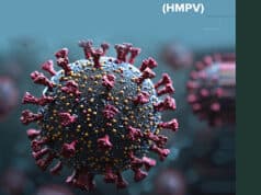 HMPV im Fokus: Was Sie über das menschliche Metapneumovirus wissen sollten