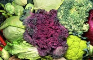 Natürliche Heilmittel: Die Kraft der Pflanzenheilkunde