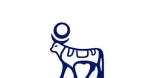 Wettlauf um GLP-1: Novo Nordisk vs. Eli Lilly in Diabetes und Adipositas