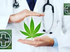 Cannabis und Demenz: Neue Studie warnt vor unterschätztem Gesundheitsrisiko