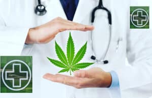 Cannabis und Demenz: Neue Studie warnt vor unterschätztem Gesundheitsrisiko