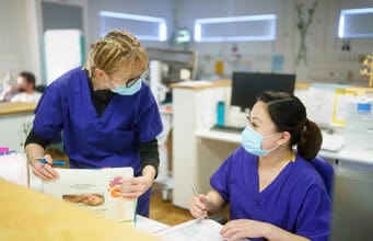 WHO-Pandemie-Vertrag 2025: Neuer globaler Gesundheitsvertrag soll künftige Krisen besser regeln